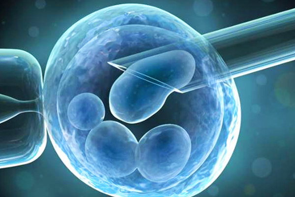 取卵做PGD-芯片病友何时可以知道胚胎情况？